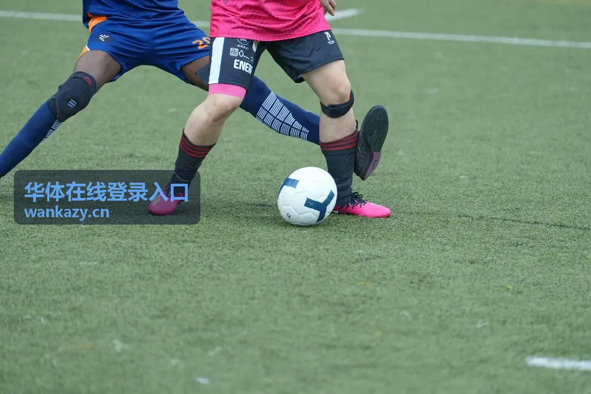 华体在线登录入口场馆预约与赛事报名服务示意