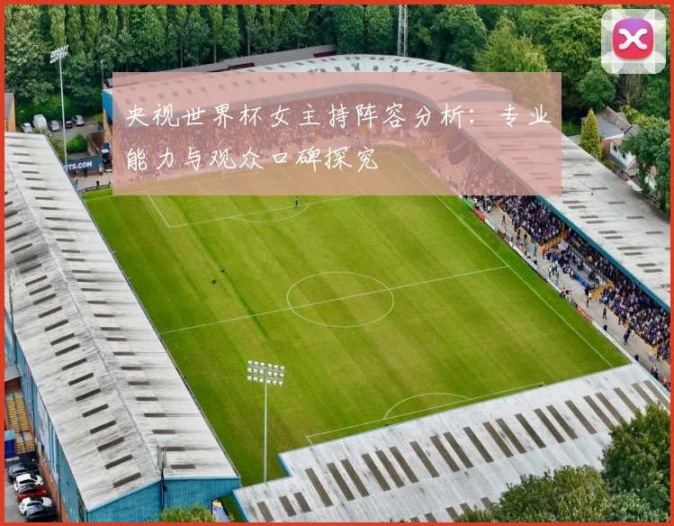 央视世界杯女主持阵容分析：专业能力与观众口碑探究